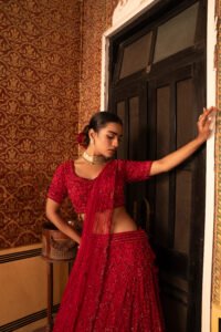 The Red Lehenga Set - Image 5